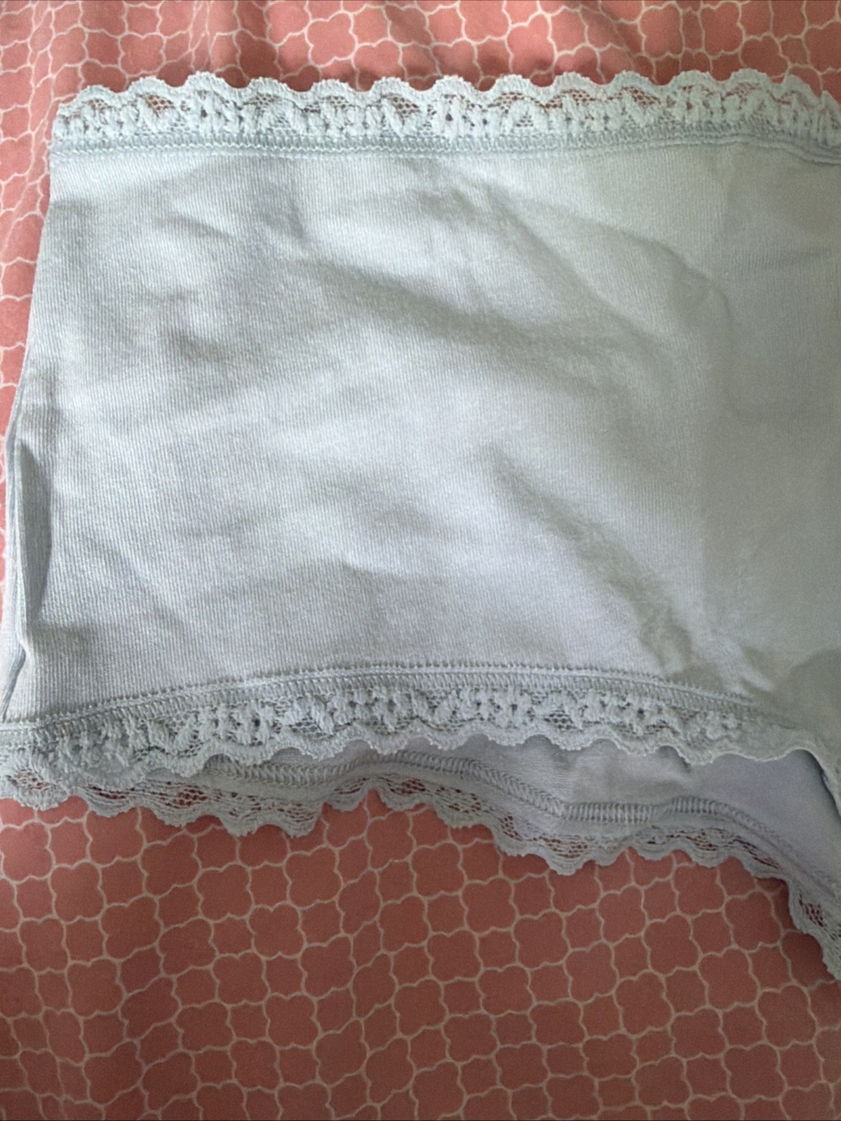 Nwt Victoria’s Secret Cotton Lace-Trim Cheeky Panty Powder Blue Sz Xlarge