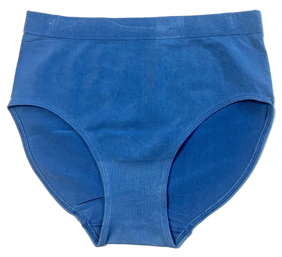 Wacoal LARGE (Size 7) B-Smooth Full Seamless Brief Panty NWOT 838175 Blue
