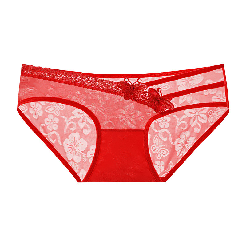 4PCS/LOT Sexy Womens See Through Sheer Panties Briefs Cheeky Underwear Lingeries