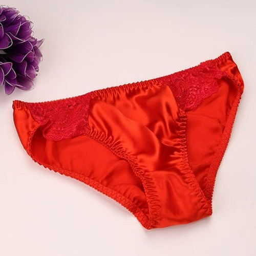Womens 100% Silk Sexy Panties Bikinis Underwear Knickers High-cut Brazilian Red