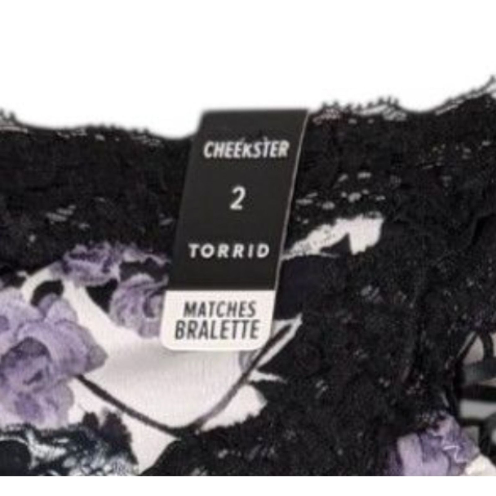 Torrid Size 2 Gothic Purple Rose & Skull Black Lace Hipster Cheekster Panty NEW