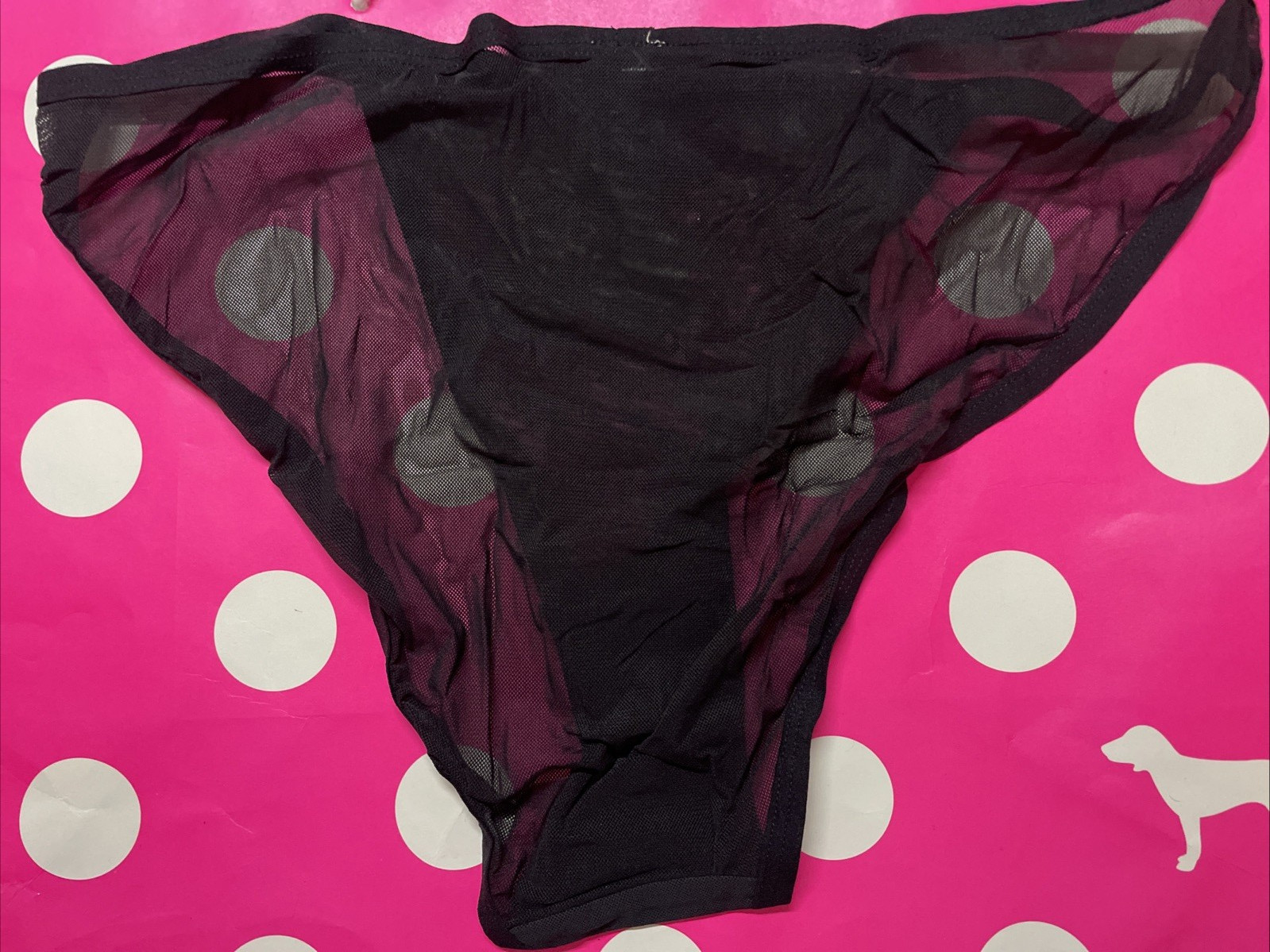NWT AERIE American Eagle High Cut Bikini Panties L Panty Sheer Mesh Black