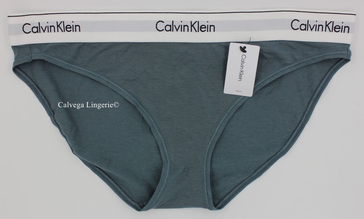 NWT Calvin Klein F3787 “Modern” Logo Cotton Bikini, Teal (030), XL
