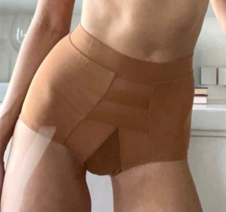 NWT $48 HAH X Free People Hi Waisted Panty Size Small Brown Sugar Sheer Pin Up