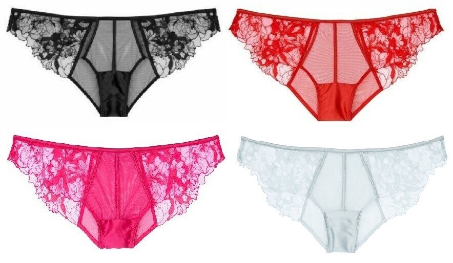 $40 VICTORIAS SECRET LUXE LINGERIE VERY SEXY MESH & LACE CHEEKY PANTY FLORAL NWT