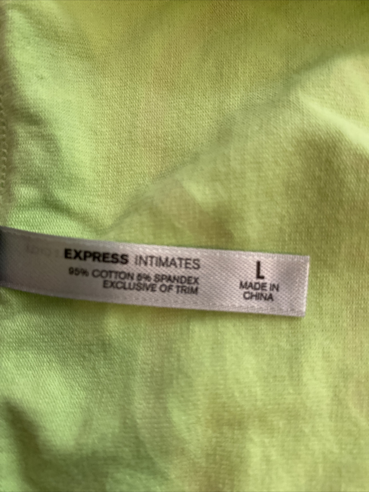 Express Intimates NWT Women L “Say Yes” Low Rise Ruffled Bikini