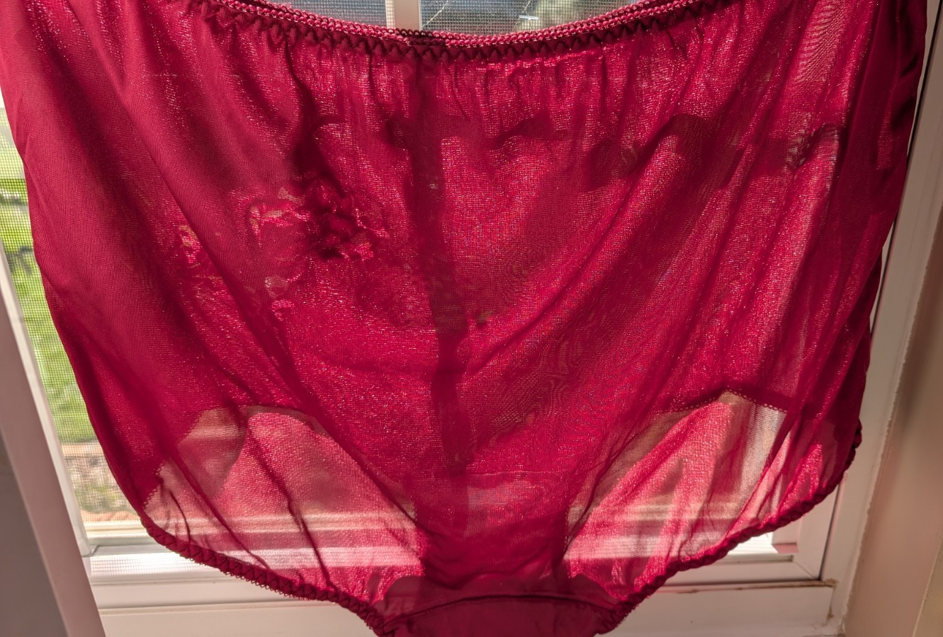 2 pr CONTESSA 100% Nylon Brief Panties Lace Floral Applique Sz 12 Burgundy NWOT