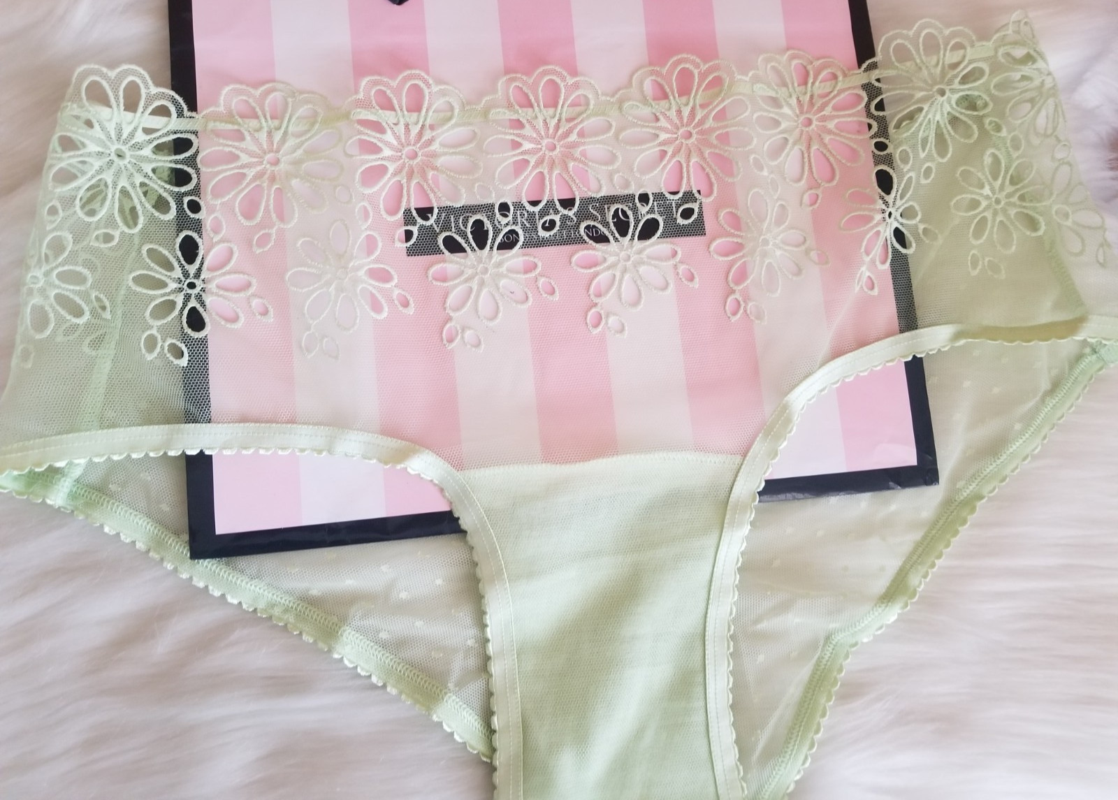 VICTORIA’S SECRET EYELET FLORAL MESH CHEEKY PANTY GREEN LARGE NWT