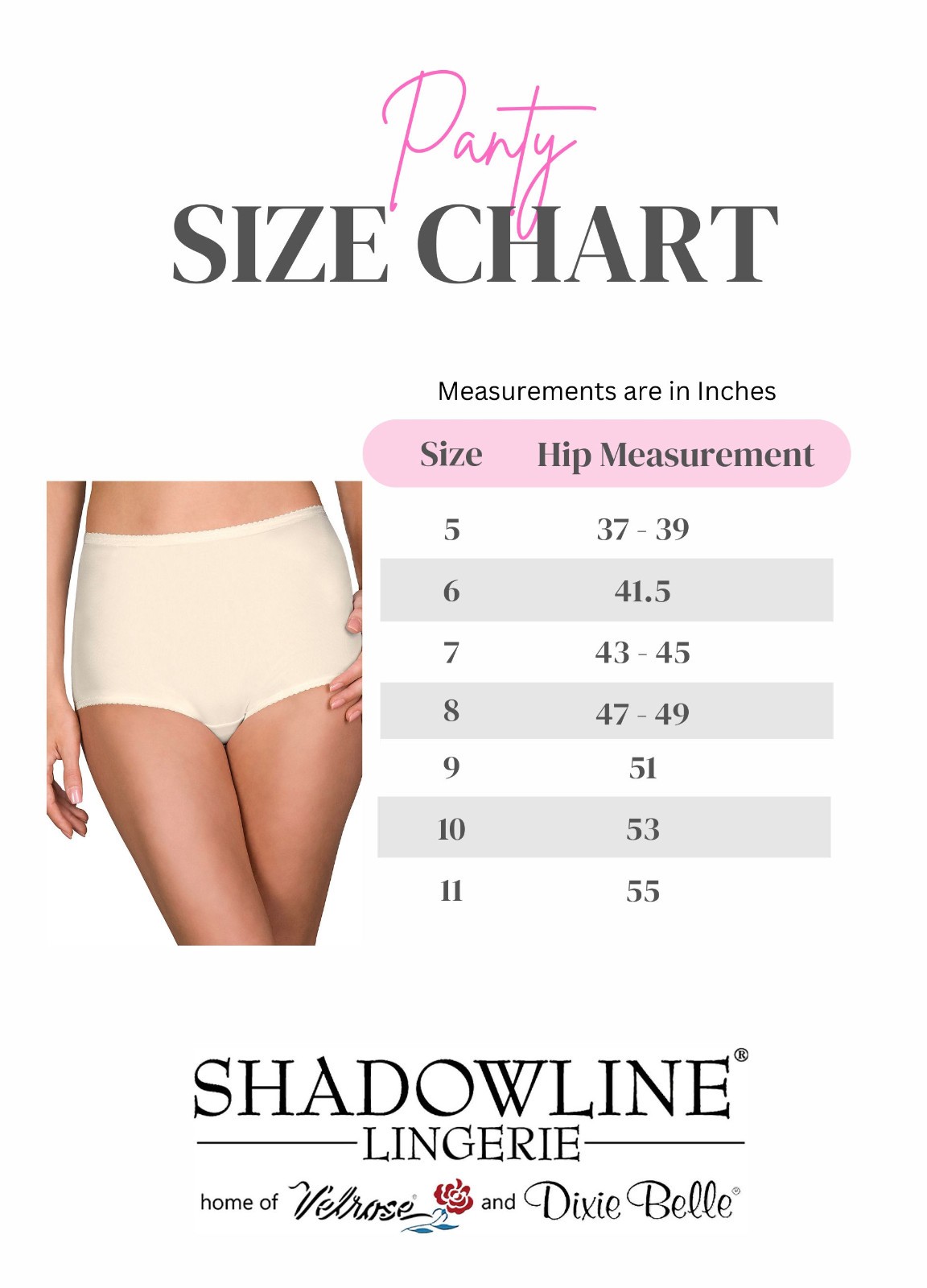 Shadowline Womens Underwear Black White Silver Nylon Full Brief High Waist Panty