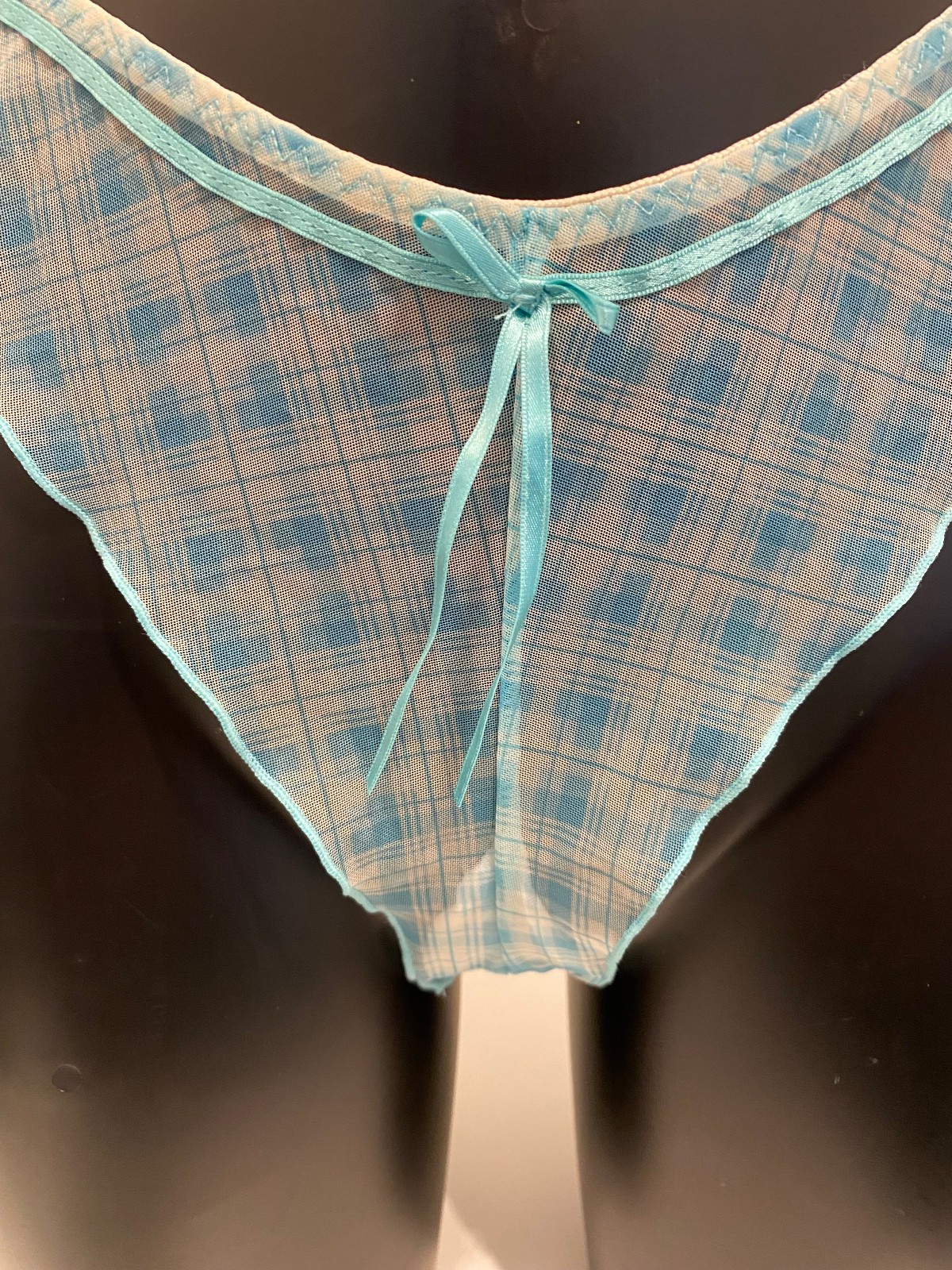 Panache Aqua Green Blue Thong 8 Sheer gingham check panties knickers panty