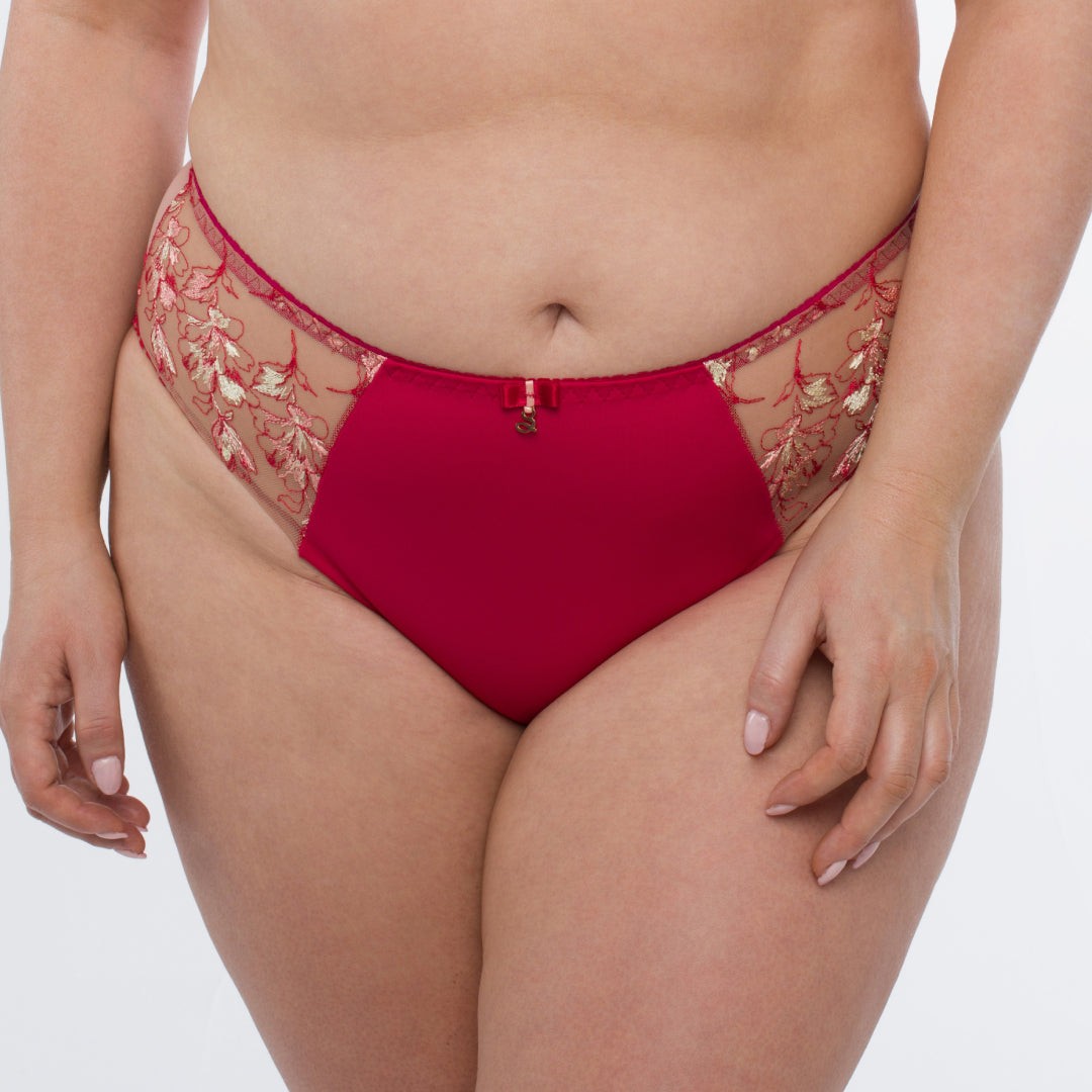 Samanta Daniela Sheer Mesh Tulle Embroidered Bikini Panty New Womens Lingerie