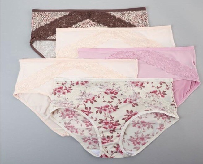 NWT Five Pair Women’s 2X Kathy Ireland Lace Trim Brief Panties