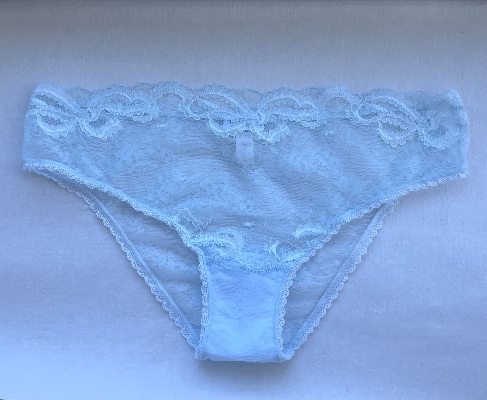 La Perla Glamour Baby Blue Sheer Lace Briefs Panties Italy Size M UK 14