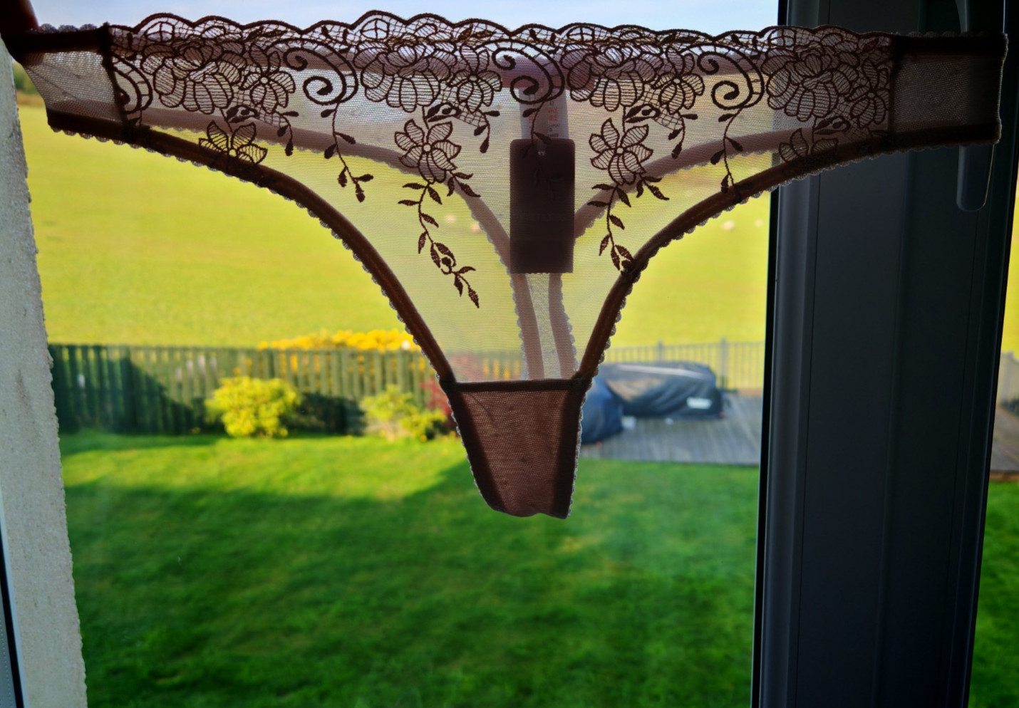 Next Intimates Nude Thong Size 14