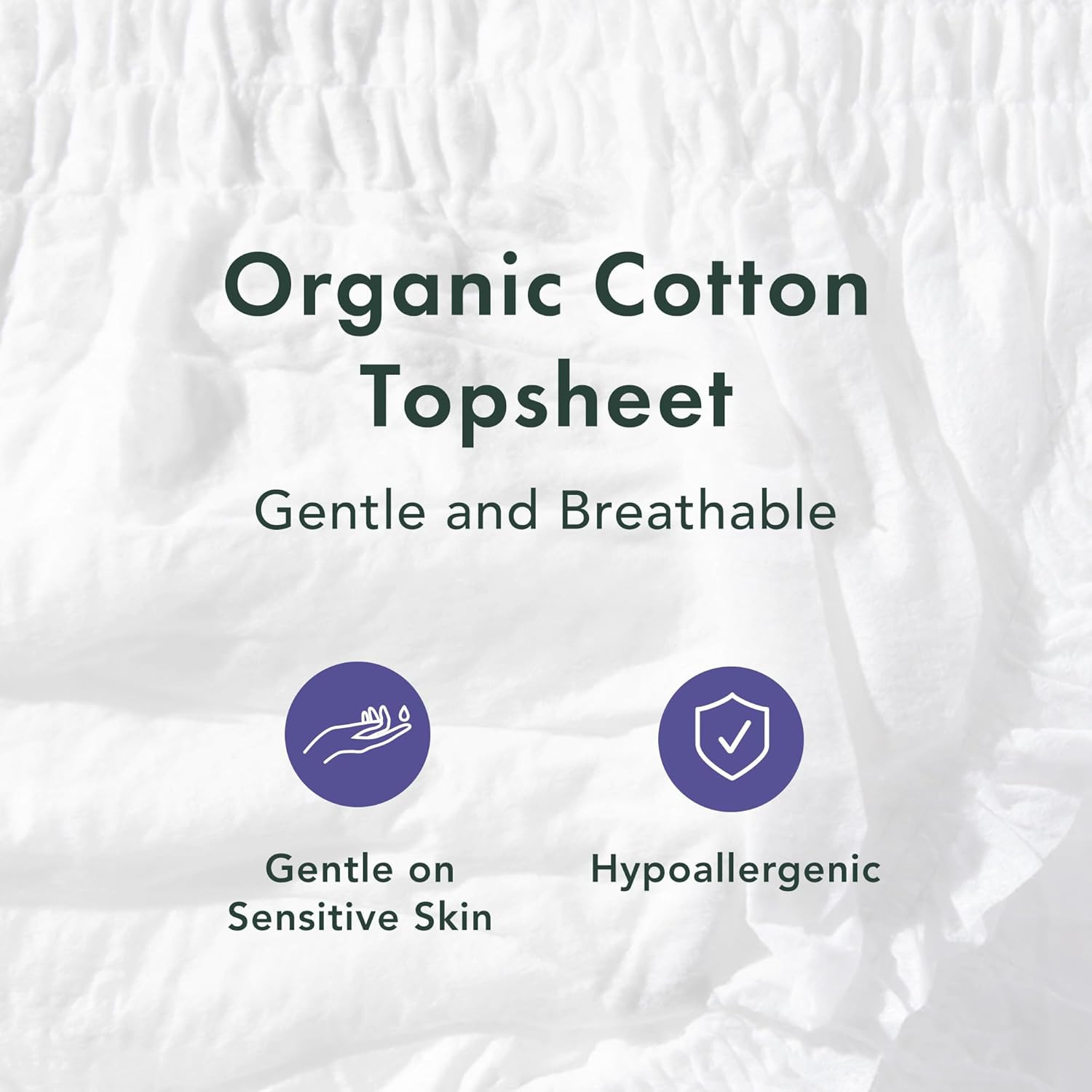 Rael Organic Cotton Cover Underwear -Women – Postpartum Essentials L/XL