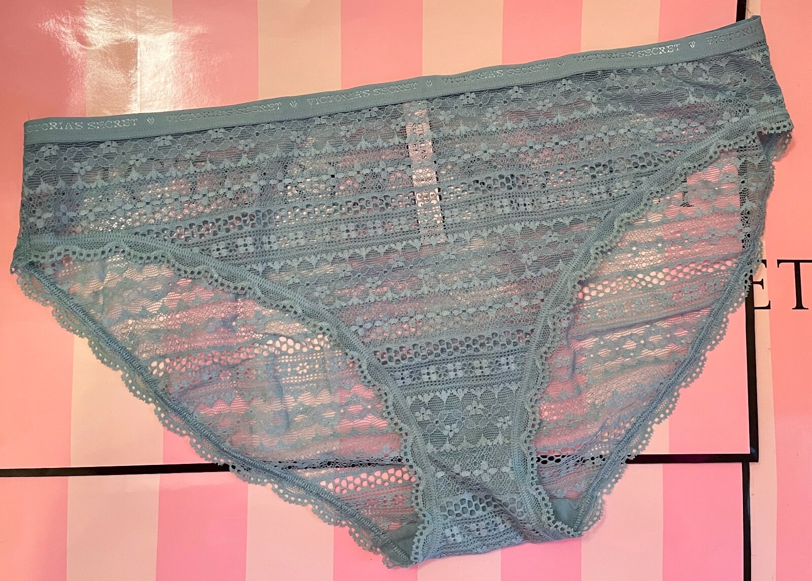 NWOT VICTORIA’S SECRET XL BLUE GREEN FLORAL SCALLOP LACE STRETCH BIKINI PANTIES