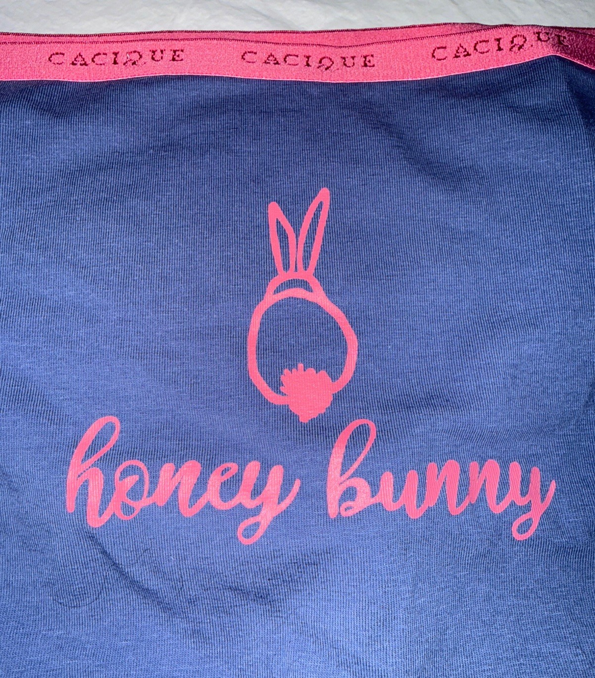 NWT Cacique Cotton Honey Bunny Hipster Lane Bryant Sz 12 Blue & Pink