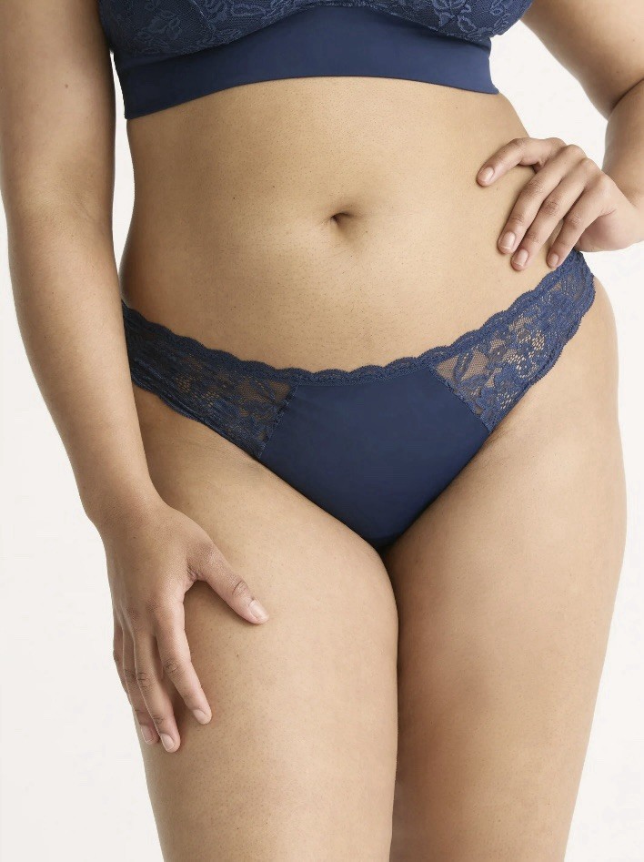 NWT Joyspun Womens Microfiber and Lace Cheeky Panties 3 pack size XL (16-18)
