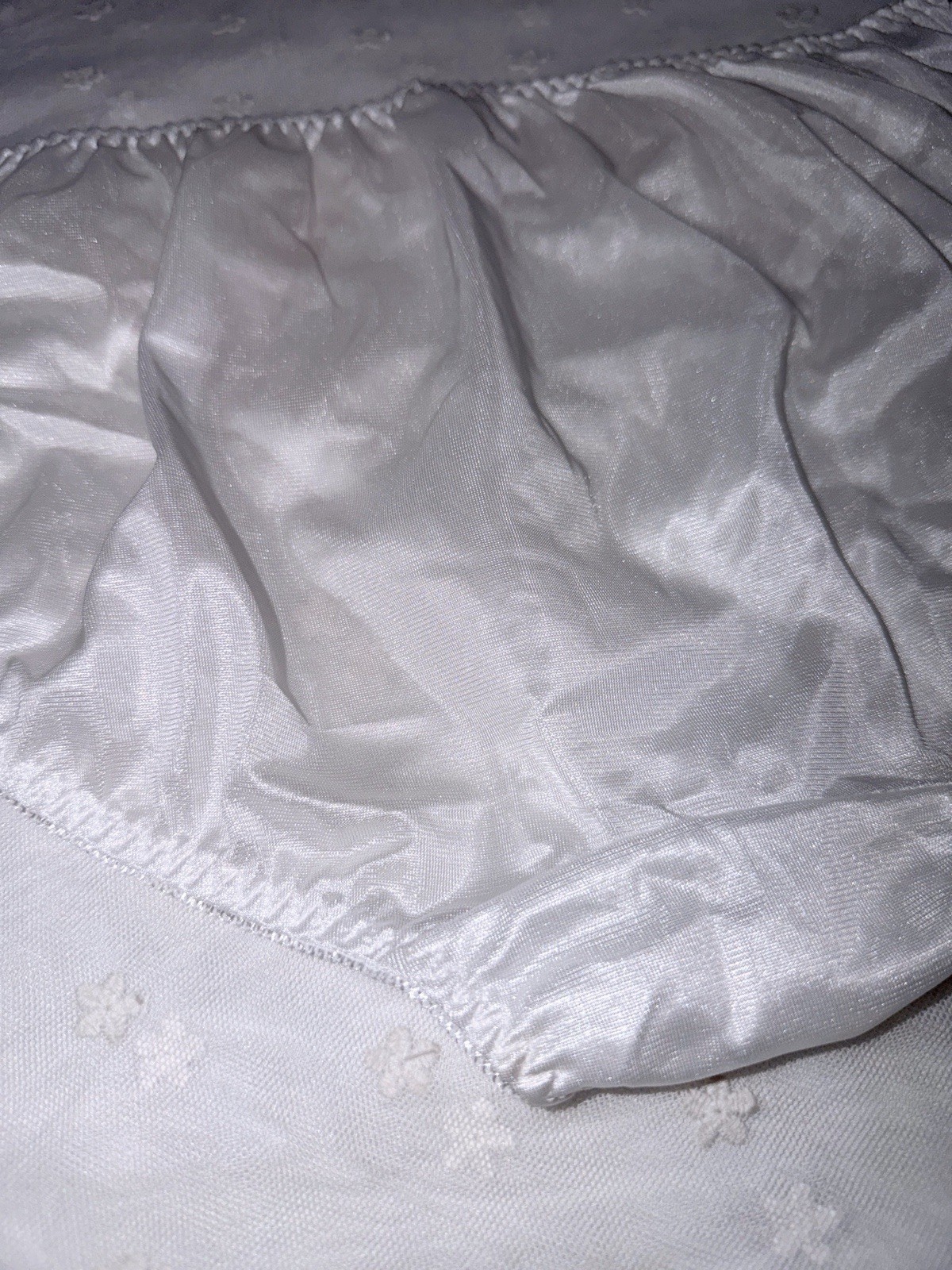 Plus US-XXL/JP-5L Japanese Classic Embroidery Glossy Smooth Tricot Nylon Panties