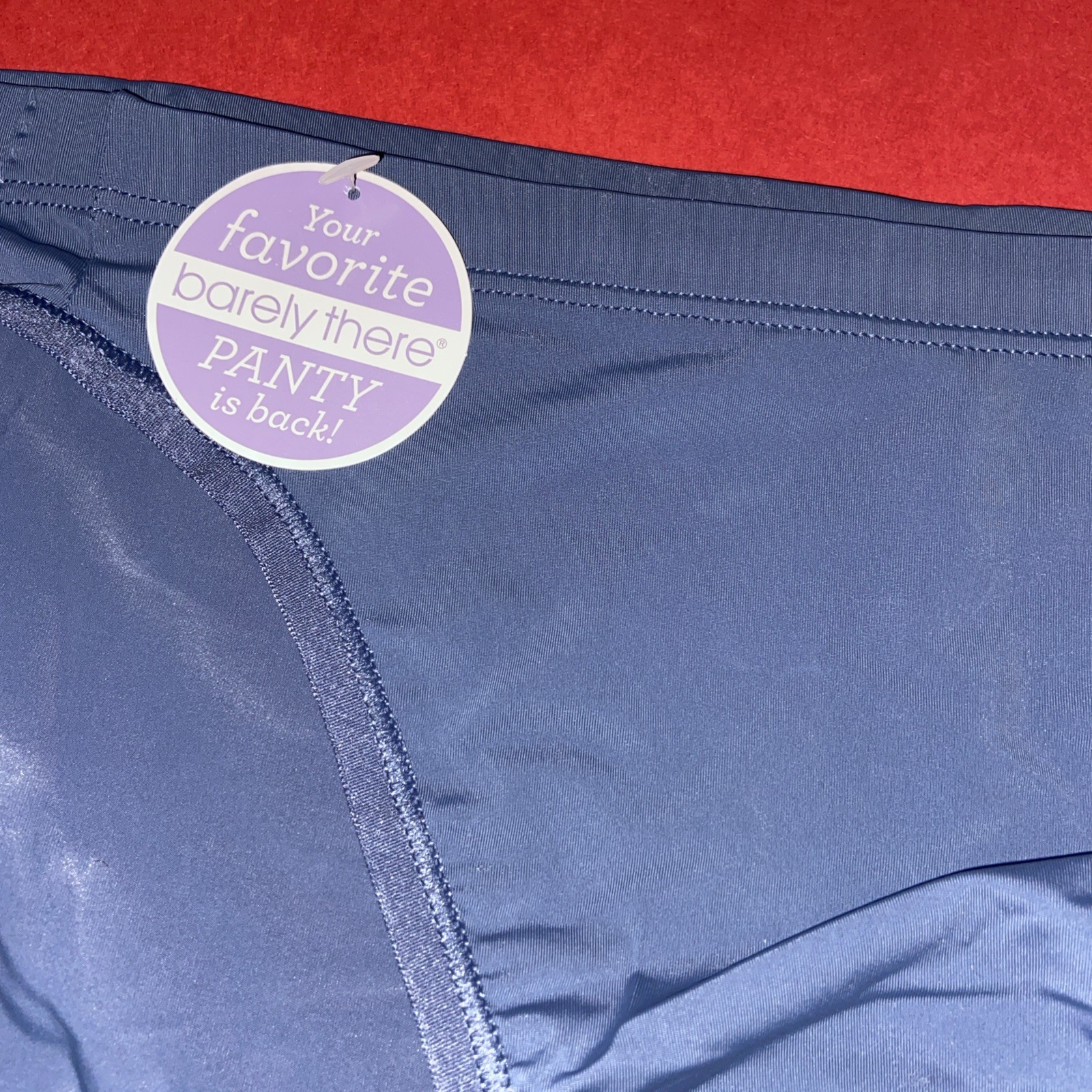 NEW! MAIDENFORM SLATE BLUE BARELY THERE BIKINI PANTIES/ SIZE 8 /X Large / $13