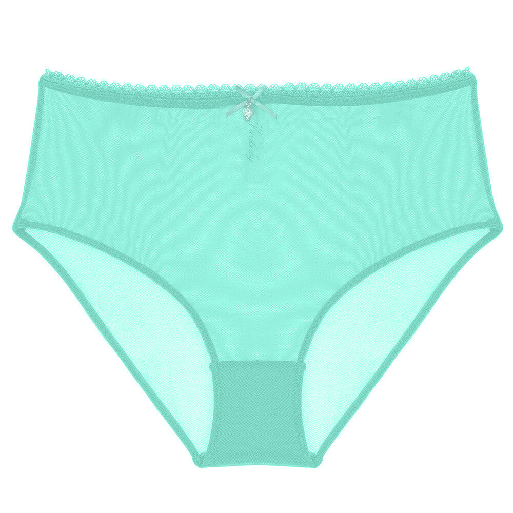 Women Panties Temptation Sexy Mesh Underwear Transparent S-XXL High Waist Briefs