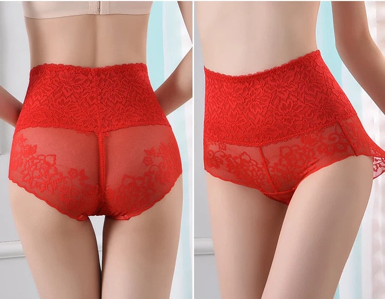 Lace Briefs Mid Rise Sheer Elastic Breathable Underwear Panties Women Soft