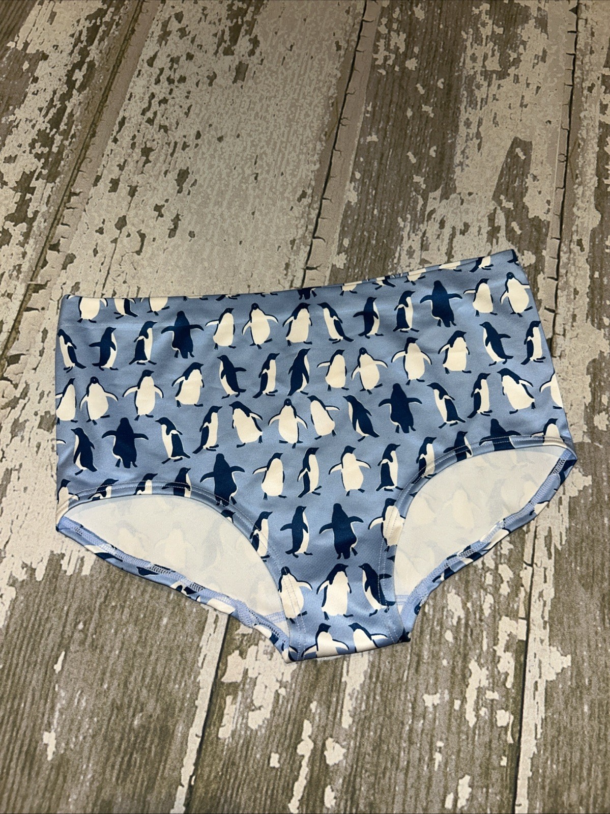 ANTHROPOLOGIE LYREBIRD EMILY TAYLOR PENGUIN UNDERWEAR PANTIES L XL LARGE NWT