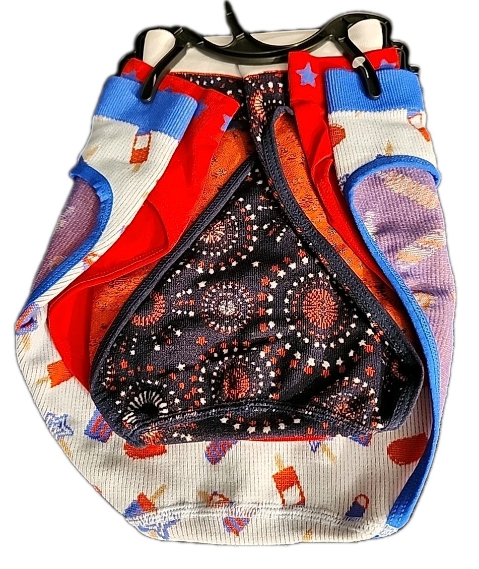 NWT Way To Celebrate Hipster Panties 3-Pack Seamless Size Small Multicolor