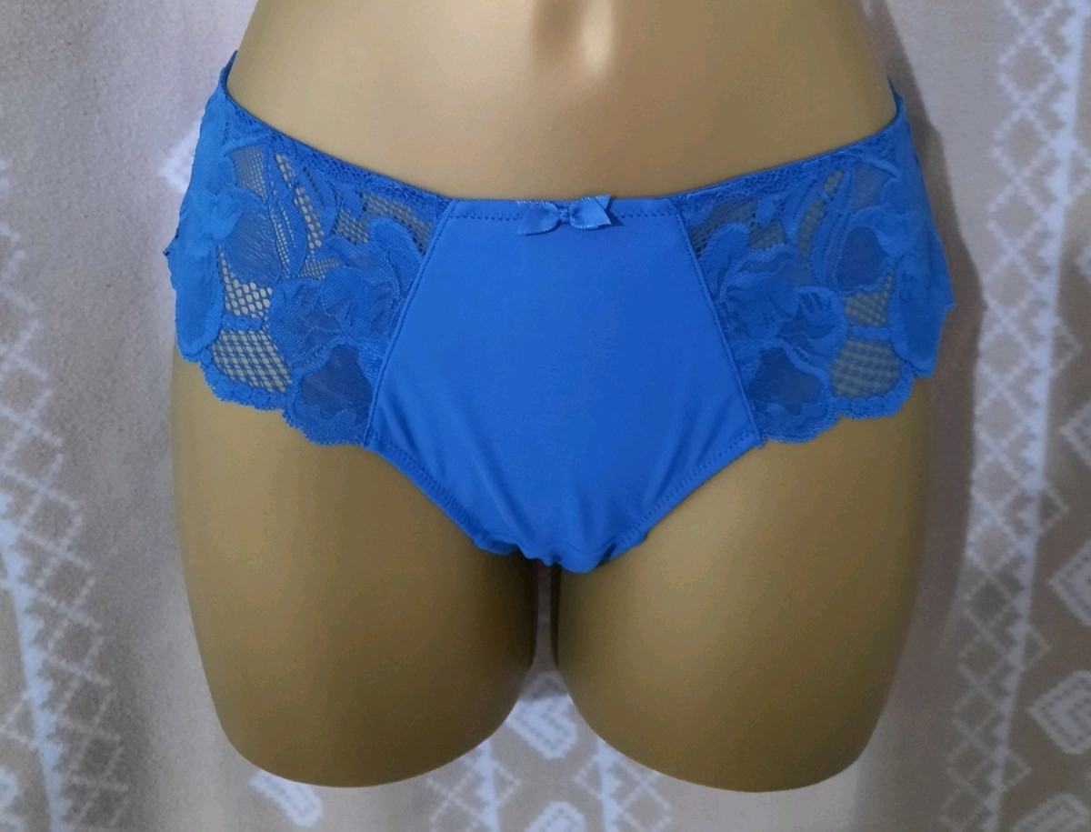 Panache Rocha Briefs Semi Sheer Mid Rise Lined Knickers Lace Brief Size 8