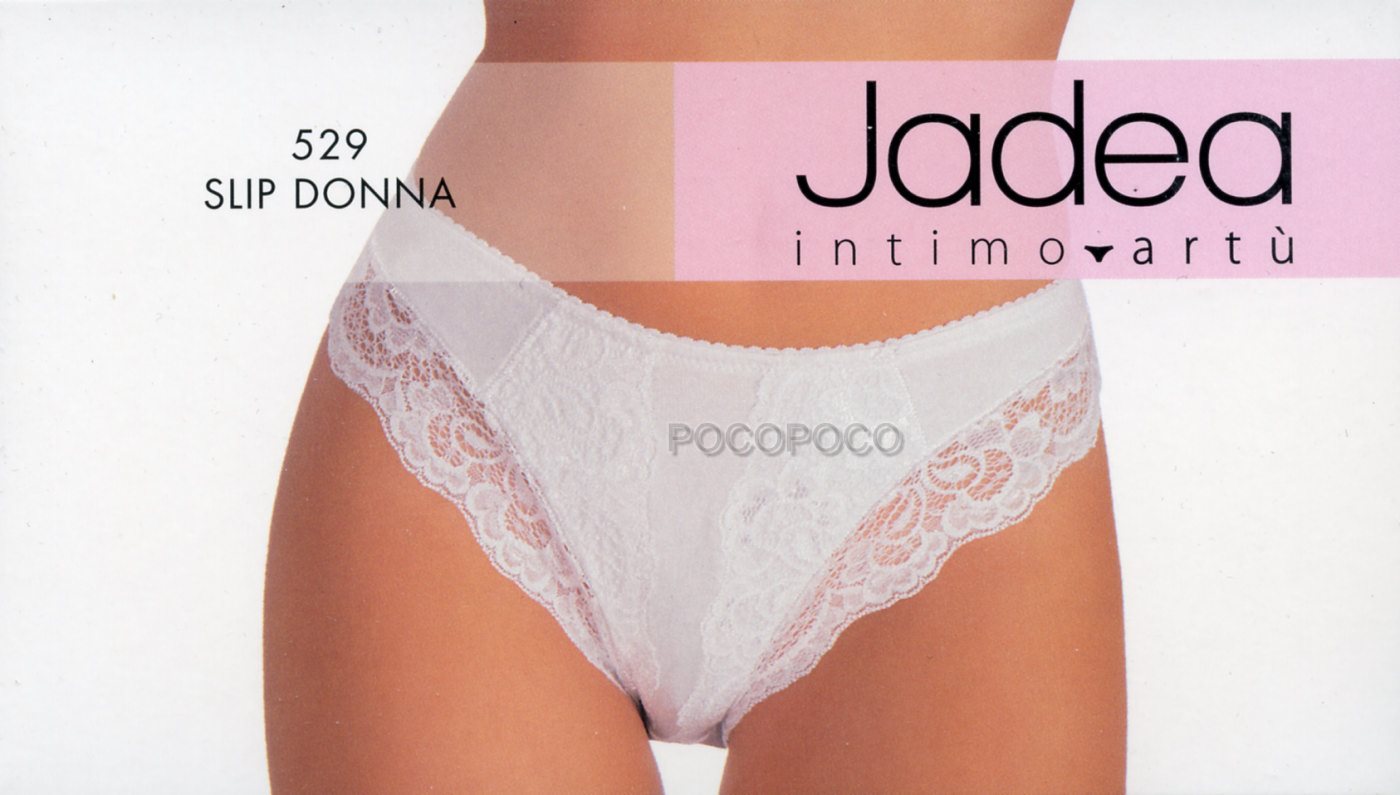 6 Womens Lace Cotton Modal Stretch Jadea Midi Briefs 529