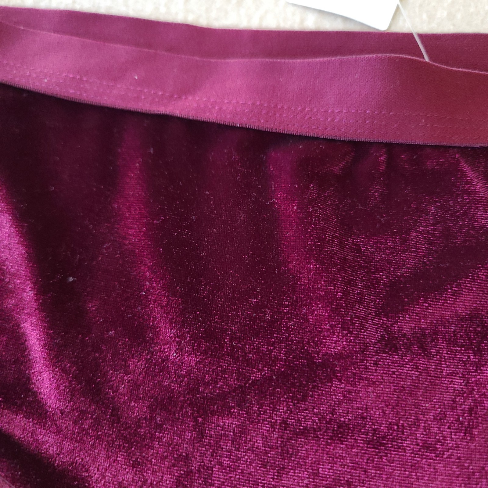 By Anthropologie Velvet Panty Briefs Underwear Sz XL Plum Retro Coquette NWT