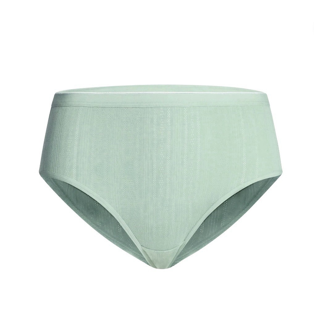 6-Pair JOYSPUN Women’s XXXL (22) Cotton Blend Briefs Panties Underwear Tag-Free