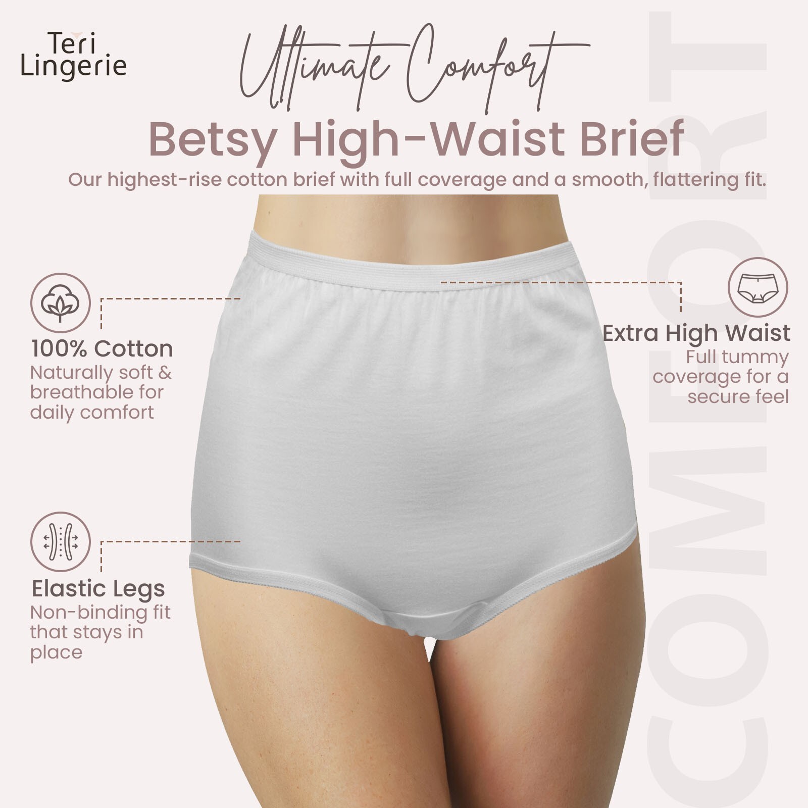 3 Pack Teri Lingerie Full Coverage Cotton Betsy Brief Elastic Leg Opening