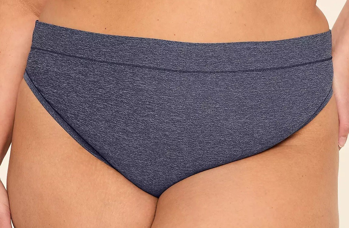 NWT – Lane Bryant Denim Blue Comfort Bliss French Cut Brief Sz 18/20 Ret: $12.50