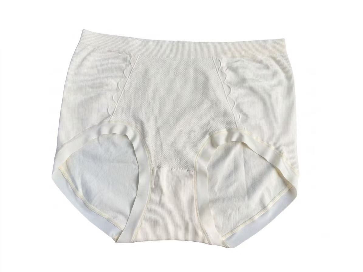 6ps Plus Size High-Waisted Nylon Minimalist Comfortable Women’s Pantie 155-240LB
