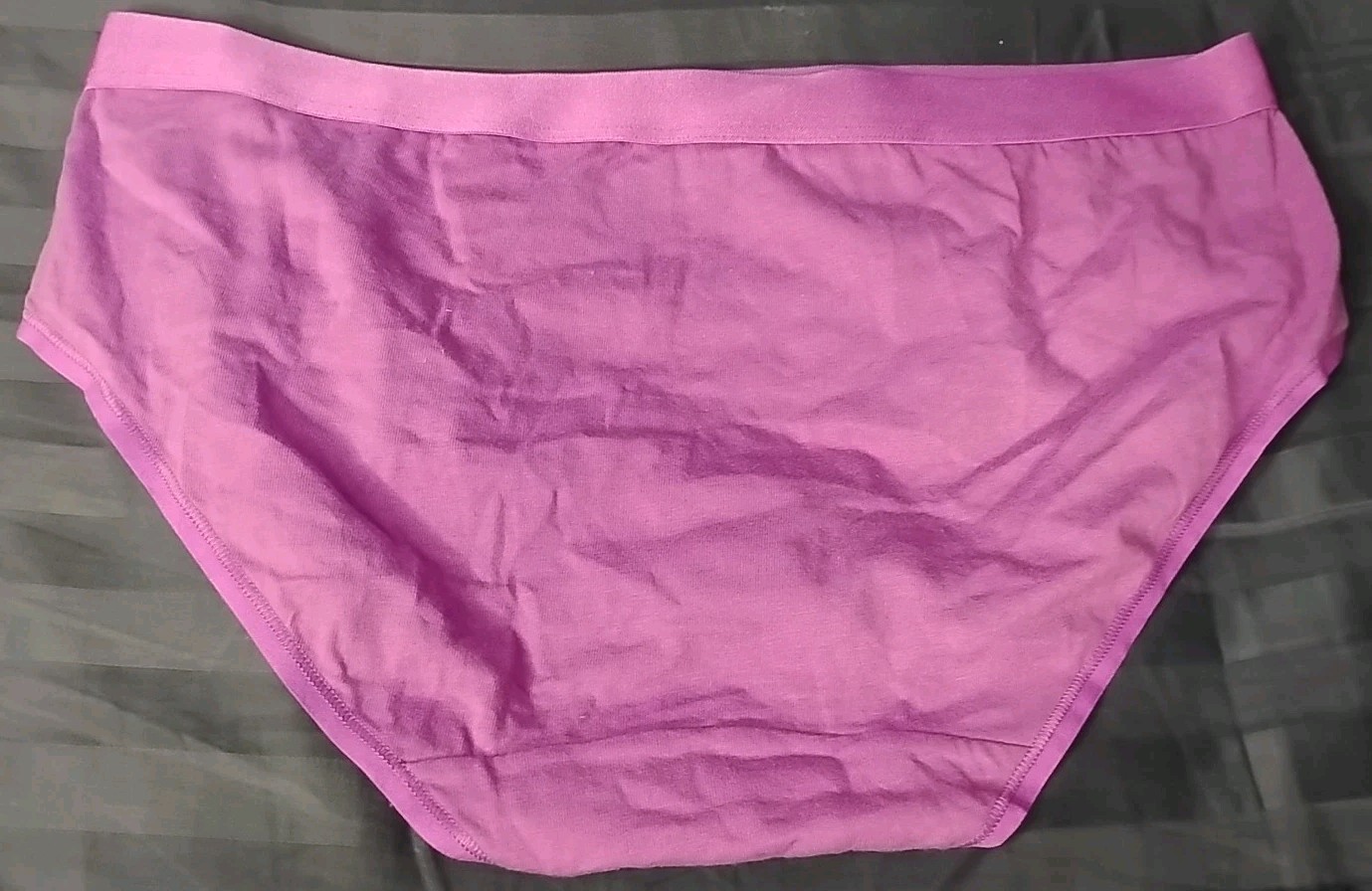 3x Champion Underwear Size L Women’s Stretch Panties Hipster Briefs Assorted