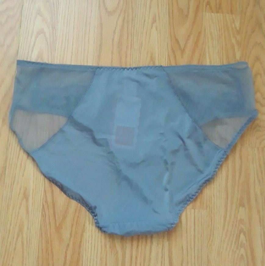NWT Lauma Lingerie EUR 44 Large Topaz Grey Briefs Embroided Panties Milavitsa