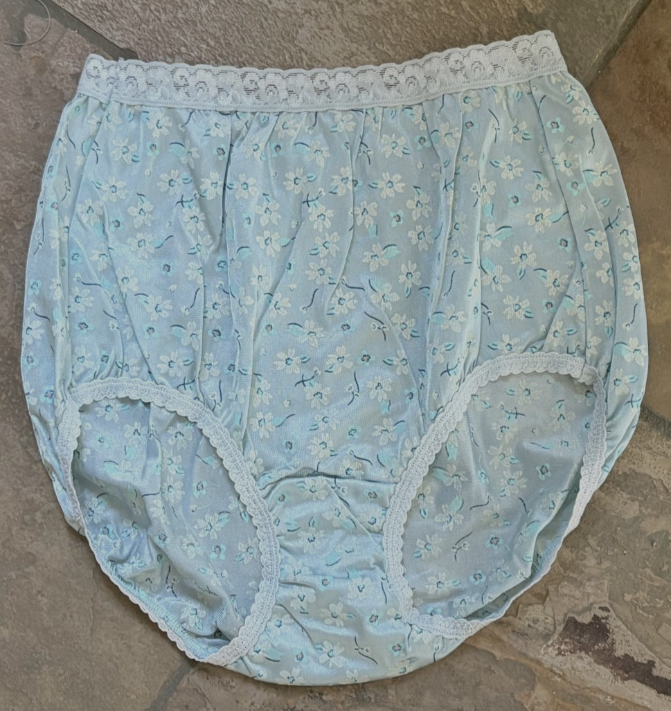 HANES M Daisies on Blue Silky Semi Sheer Nylon Lace Trim Brief Panties NWOT VTG