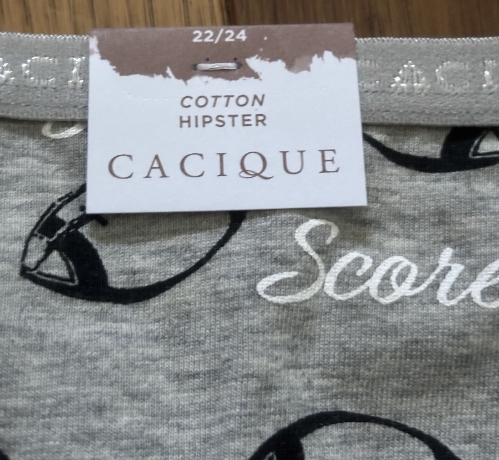Plus Sz 22/24 Lane Bryant Cacique Hipster Cotton Panty Gray Football Fall Sports