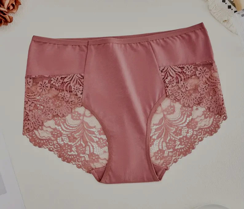 Retro Chic Side Note Hi-Cut Brief Panty Women’s 2XL Elegant Lace NWOT ifb