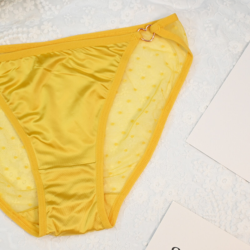 6-Pack Lot Sexy Women Sheer Satin Panties Bikinis Full Brief Underwear Lingeries