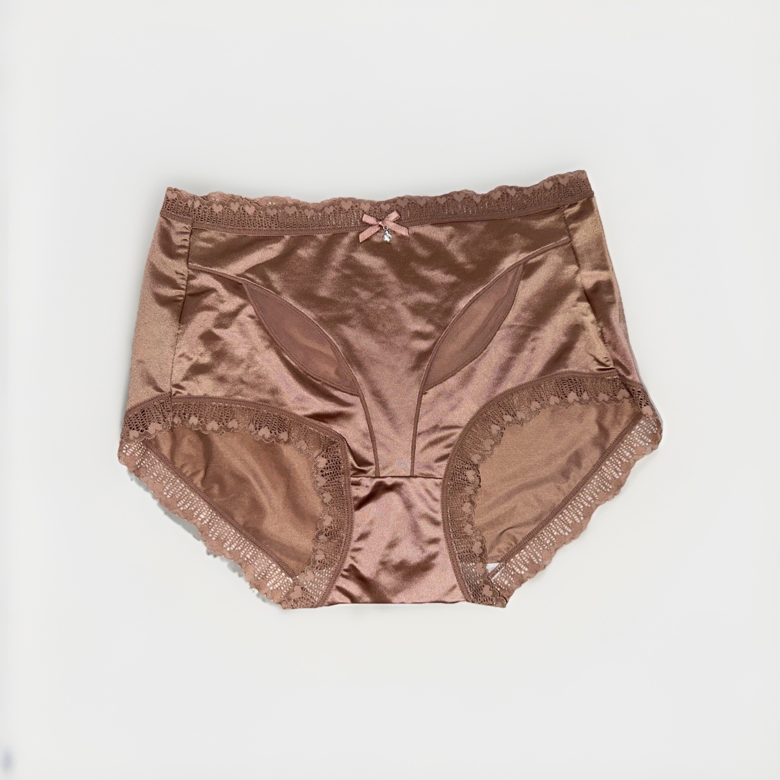 ~Shiny Large Rose Champagne Gem Nylon Lace Blended Panties W/Bow New Heart Lace
