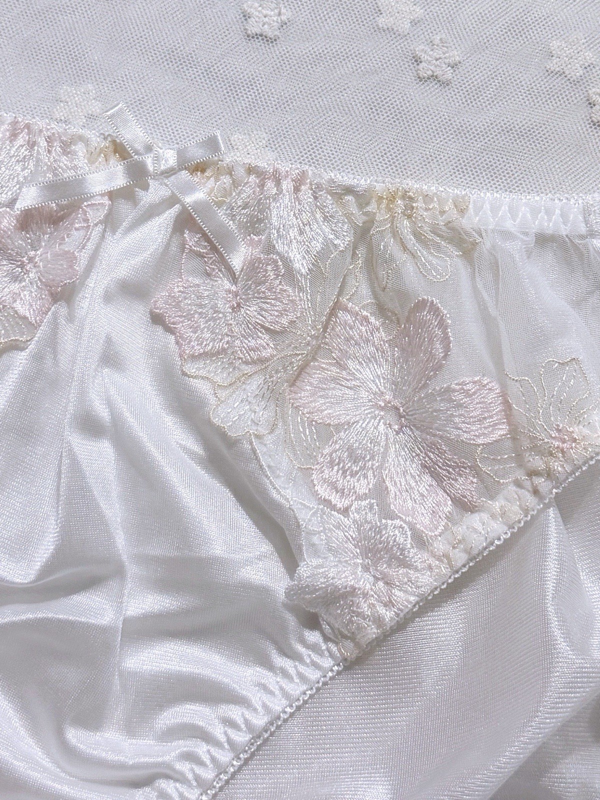 Plus US-XXL/JP-5L Japanese Classic Embroidery Glossy Smooth Tricot Nylon Panties