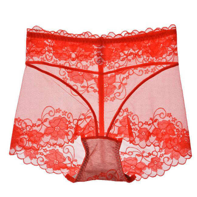 5 Pack Lot Sexy Womens Sheer Lace Panties Briefs See Through Underwear Lingeries