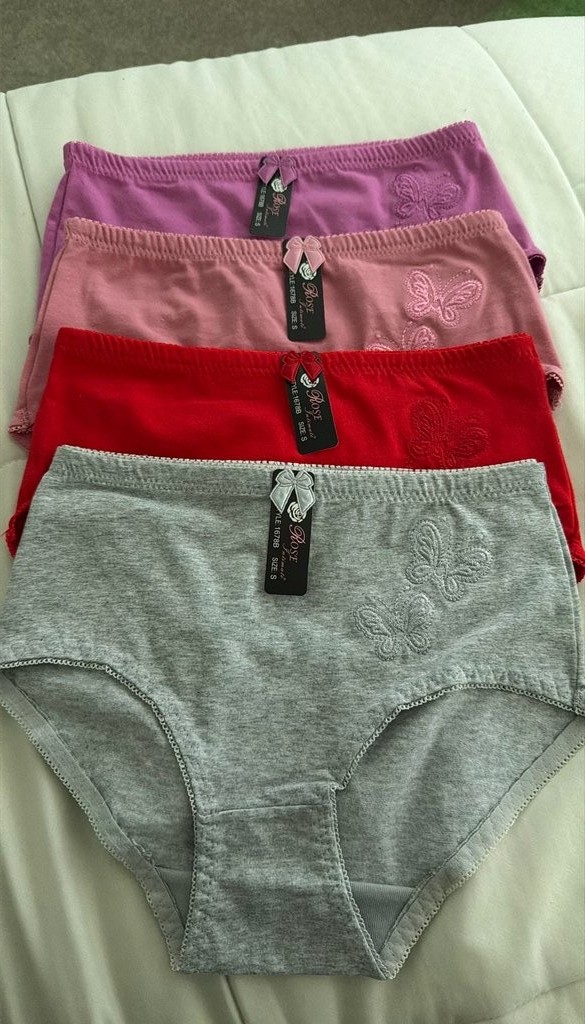 Lot of 4 New Butterfly Embroidered Women’s Cotton Briefs, Size S