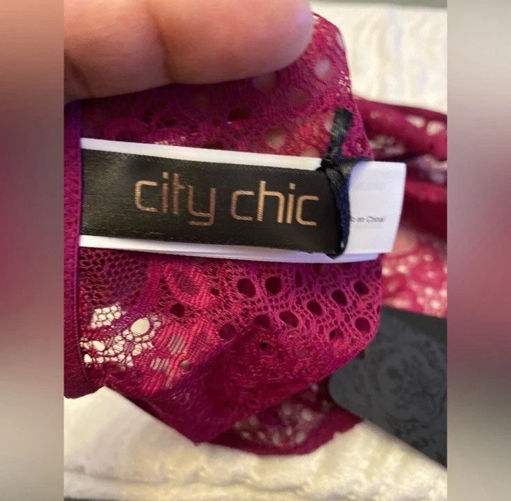 City Chic Women’s Plus Size Panty -Allure Ouvert Cheeky size 14-16