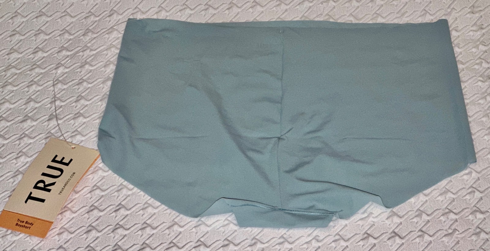 TRUE AND CO Body Bluestone Cheeky Boyshort Panty NEW Womens Sz XL fits 16-18