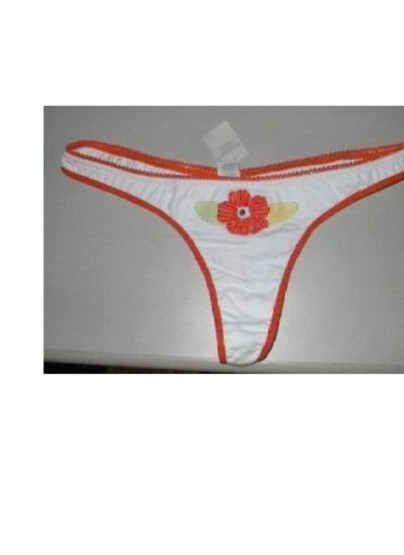 NWT AMERICAN EAGLE OUTFITTERS THONG UNDERWARE embroidered flower