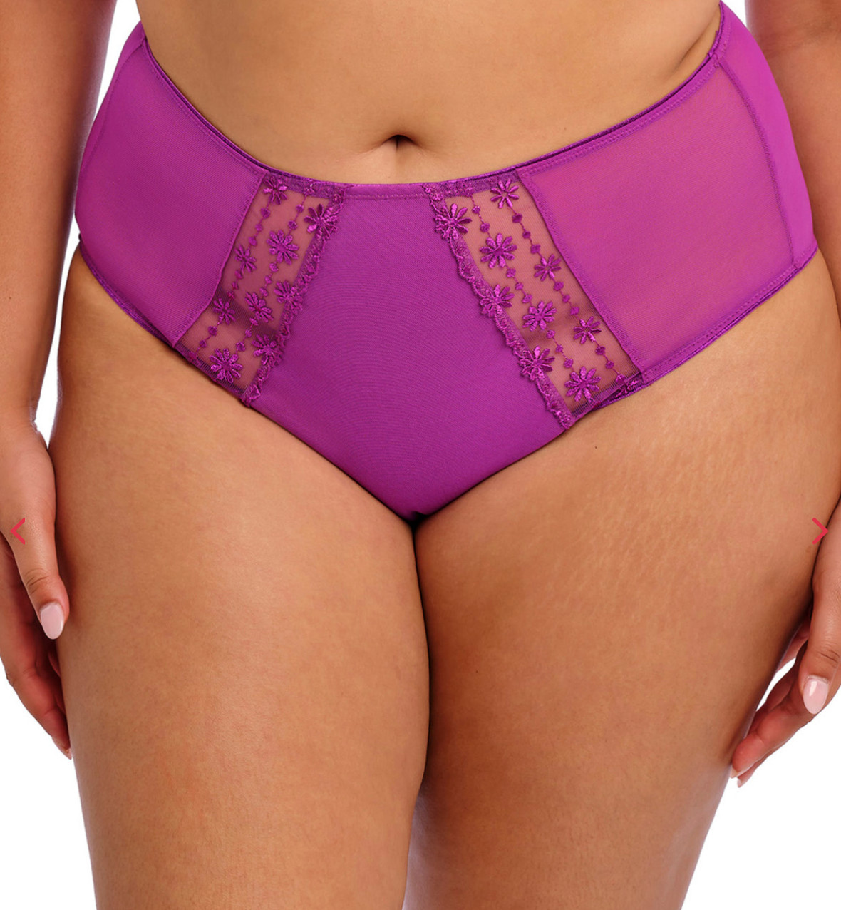 Elomi MEDIUM Matilda Full Brief Panty NWOT 8906 Hollyhock