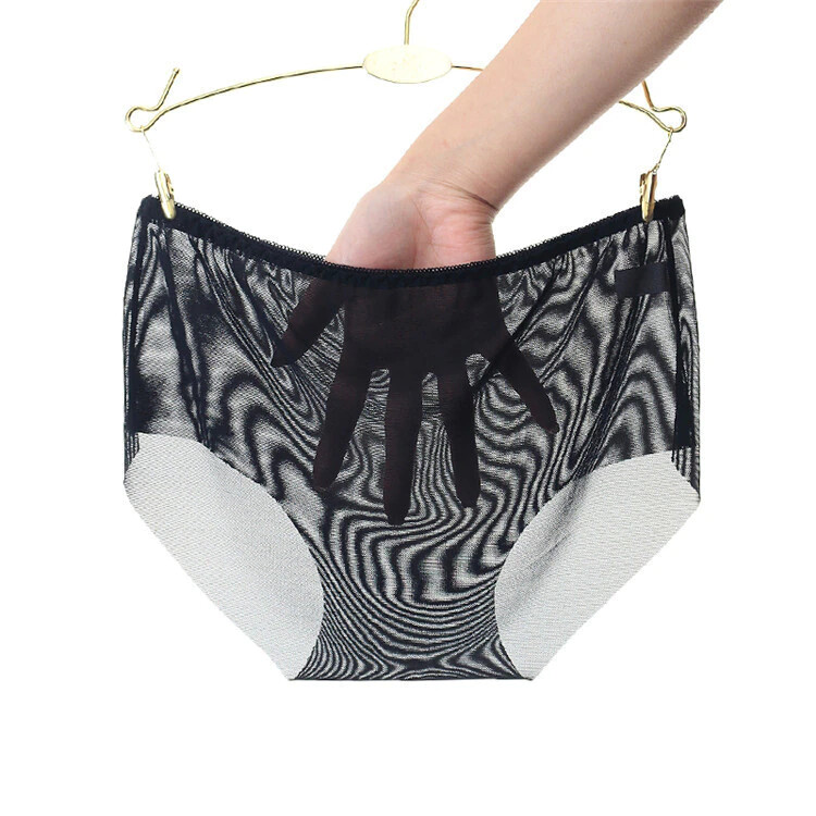 Vintage Style Sheer Transparent Nylon Panties Retro – Various colours